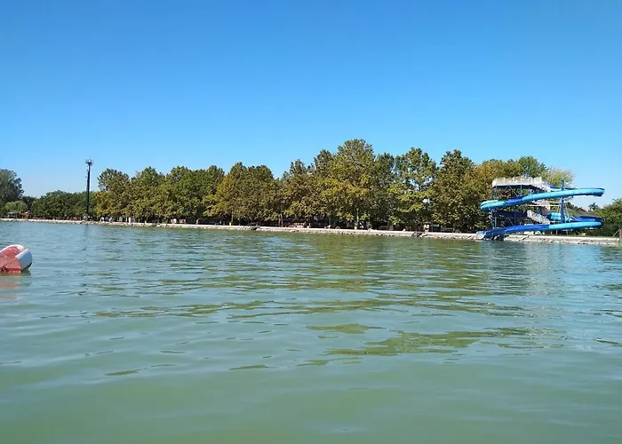 Hausambalaton *